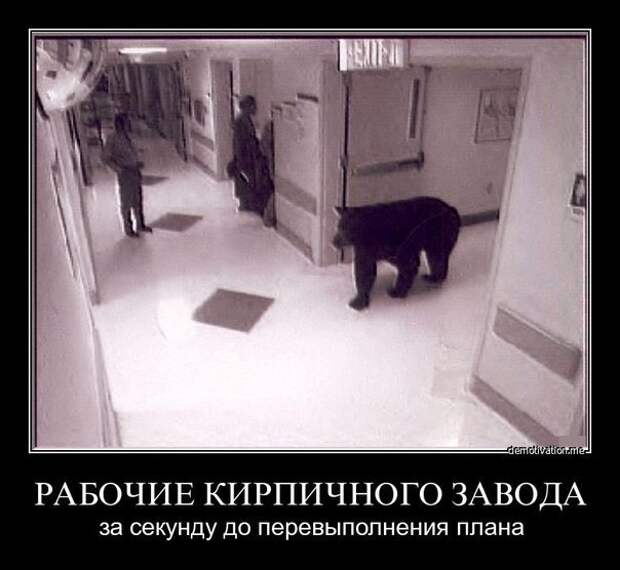 Минутка юмора (ч.7) oz4bIk lXW8 Минутка юмора