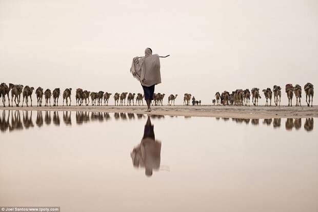 Фотоконкурс Travel Photographer of the Year: кадры, которыми гордился бы любой фотограф
