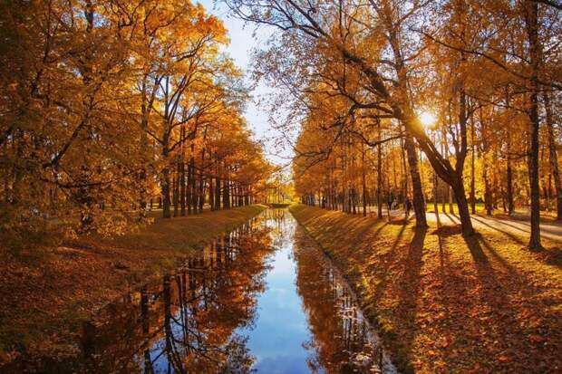 Золотая осень в Александровском парке. Оля Муратова россия, фото