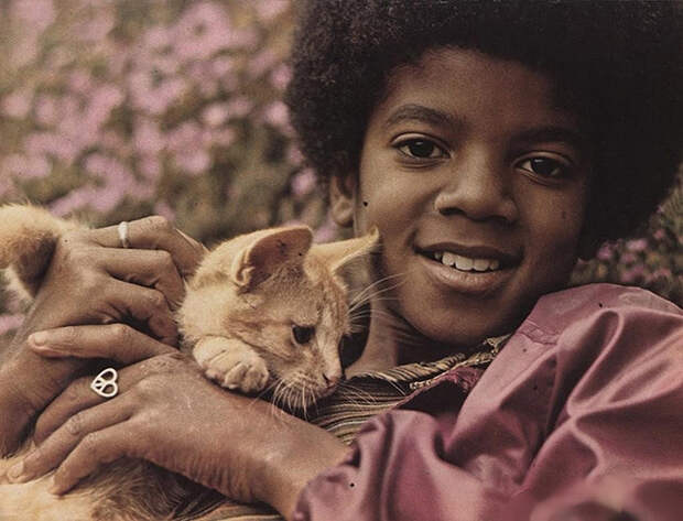 15 фактов о Майкле Джексоне, которые мало кто знает