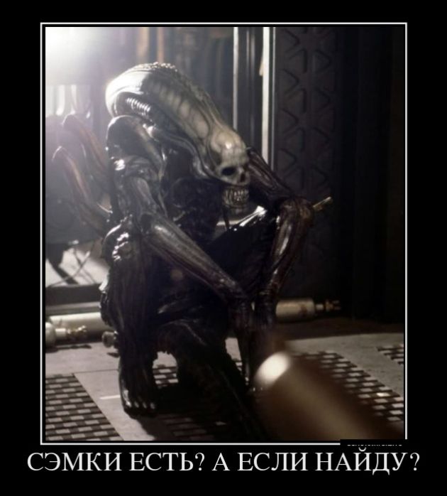 Демотиваторы (30 фото)