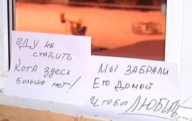 Забавные надписи в подъездах. Злые и добрые