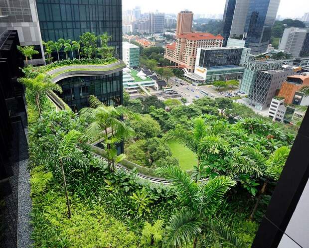 Parkroyal17 Уникальный сад на фасаде отеля в Сингапуре