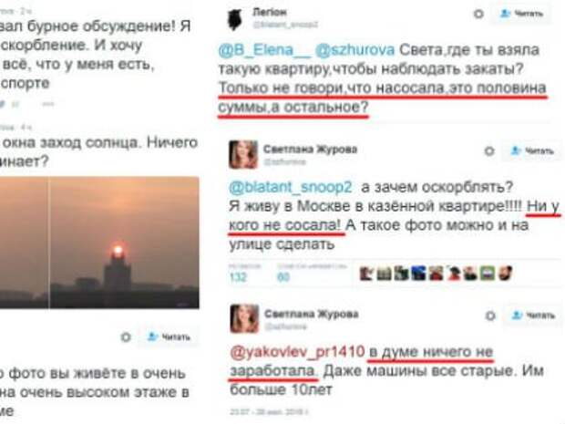 Фрагмент публичной перепалки в твиттере Светланы Журовой