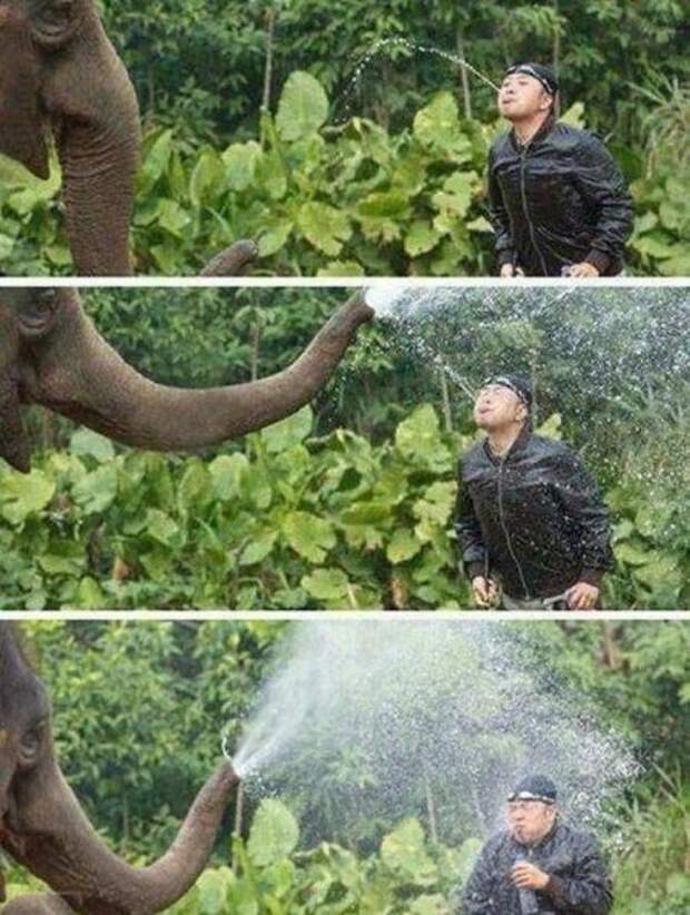 30 настоящих приколов дня. Жмите класс!