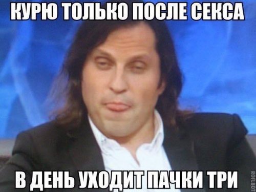 Свежие фото-приколы для всех (49 шт)