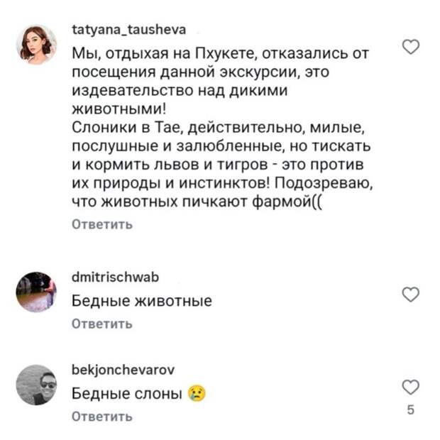 «Это полный бред»: МакSим осудили за фото с дикими животными и подали в суд за долги