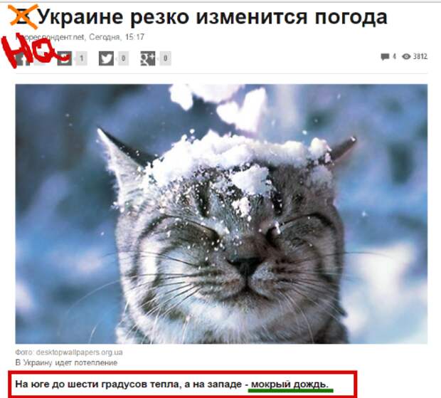 316668b8423c.png