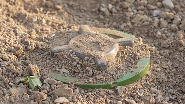 В Польше будут развивать производство противопехотных мин