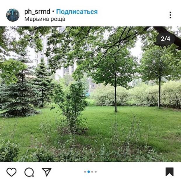 Фото дня: буйство зелени у метро «Марьина Роща»