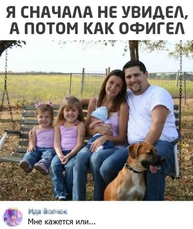 Подборка замечательных весёлых картинок