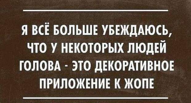 ЭТИ ФРАЗЫ НЕСОМНЕННО ПОДНИМУТ ВАШЕ НАСТРОЕНИЕ