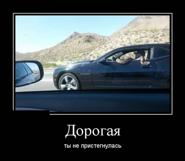www.vsyako.net