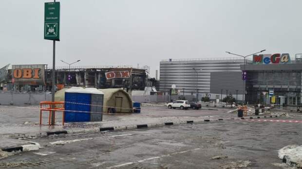 Суд арестовал фигуранта дела о пожаре в ТЦ «Мега Химки»