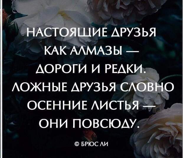 Сильные цитаты о настоящей дружбе, которые перевернут ваше сознание