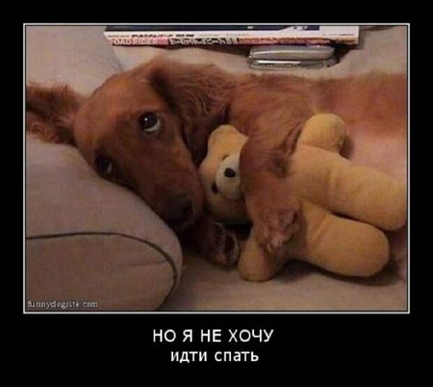 Демотиваторы! Ура! Отрывайся!