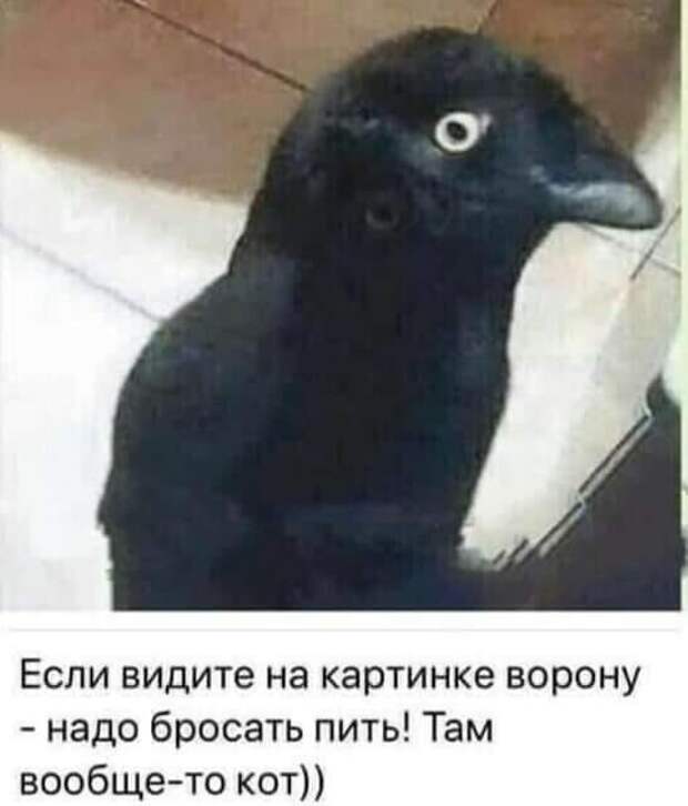По статистике, у человека в среднем случается до 92-х половых актов за год...
