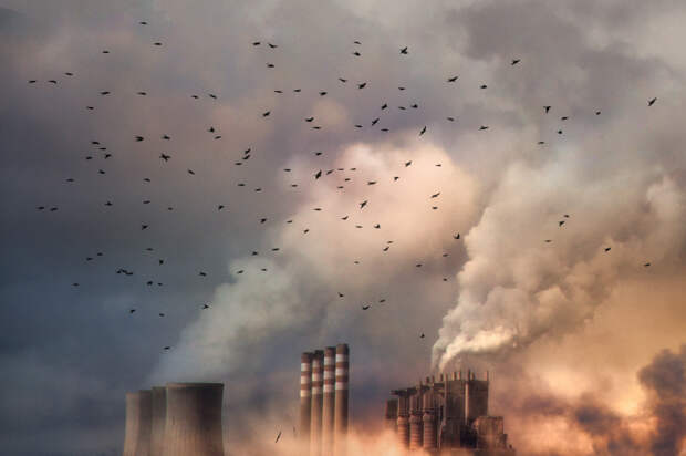 Как украинский кризис повлиял на борьбу с глобальным потеплением: Новости экологии ➕1, 13.05.2022