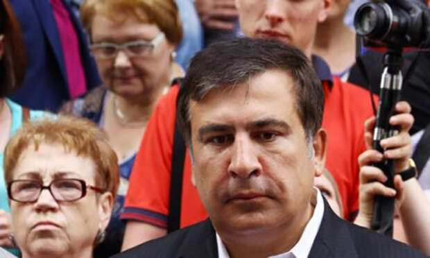 Политическое сафари: Порошенко начинает охоту на Саакашвили Политическое сафари: Порошенко начинает охоту на Саакашвили