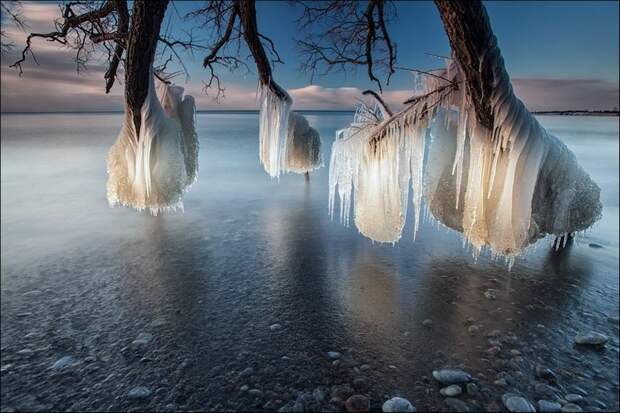 Лучшие фото National Geographic 2013 Лучшие фото National Geographic 2013
