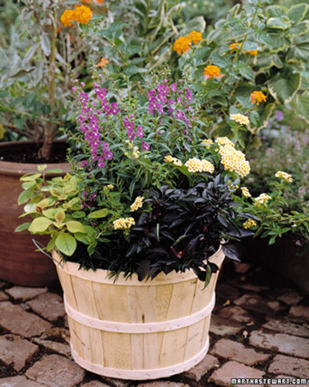 flowers-container-ideas-by-marta25 (400x500, 260Kb)