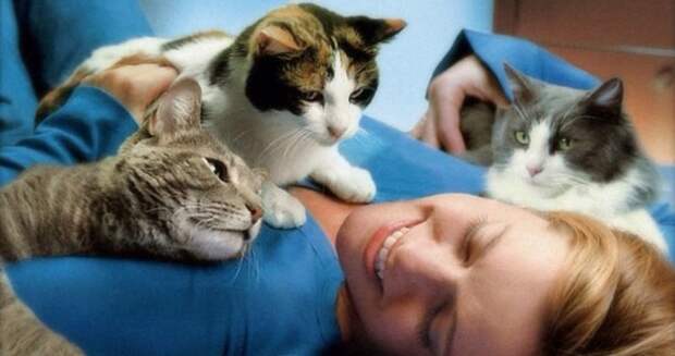 Ученые узнали, что коты запоминают клички друг друга, но равнодушны к своим хозяевам