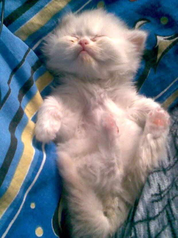 QV0HMLq9XkA (450x600, 230Kb)