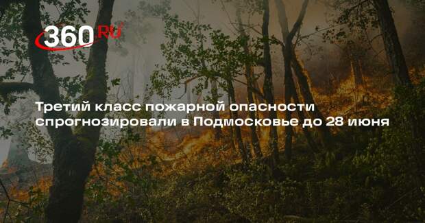 Третий класс пожарной опасности спрогнозировали в Подмосковье до 28 июня