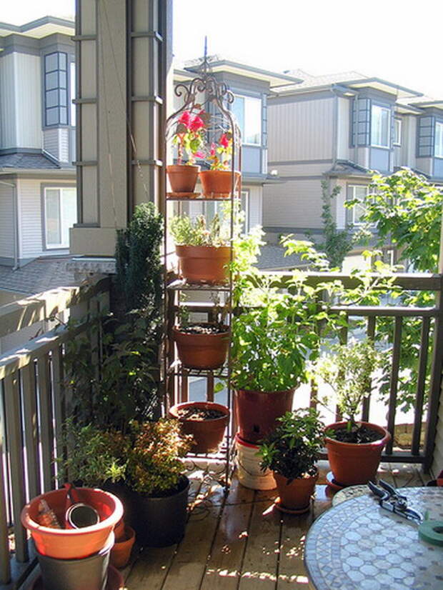 flowers-on-balcony2-1.jpg