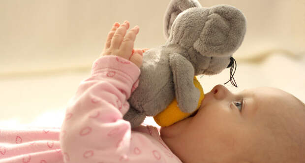 A young baby may be capable of forming a memory of nuzzling her soft toy, but she may easily forget it, too.