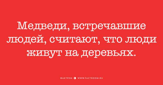 ПЯТНИЦА — ДЮЖИНА СВЕЖАЙШИХ АНЕКДОТОВ