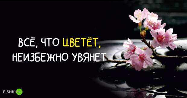 20 мудрых японских поговорок (продолжение)