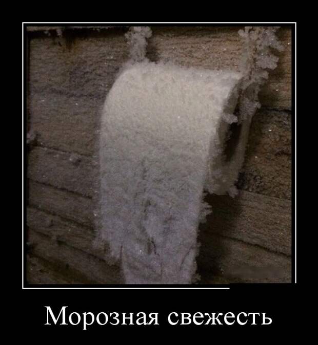 www.vsyako.net