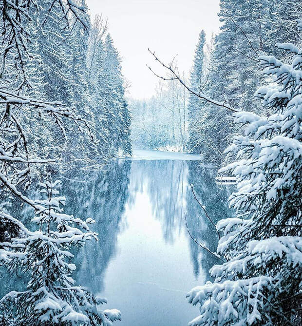 Зимний лес. Instagram soosseli.