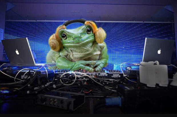 Techno Frog