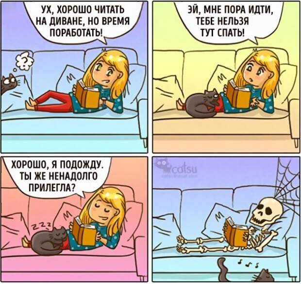 Как меняется жизнь с появлением в доме кота (20 картинок)