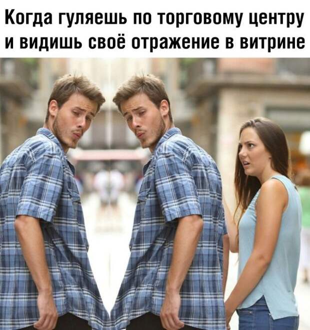 kartinok-prikolnyx-podborka-kartinki-smeshnye-kartinki-fotoprikoly