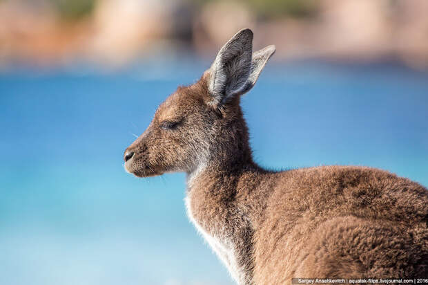 Lucky Bay