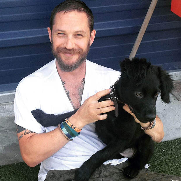 https://sobakibalabaki.com/wp-content/uploads/2017/09/love-for-dogs-tom-hardy-32-59bf897a1dd88__700.jpg