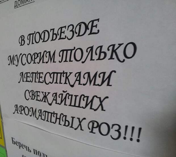 Странности, которые могли произойти везде, но случились почему-то в Одессе 