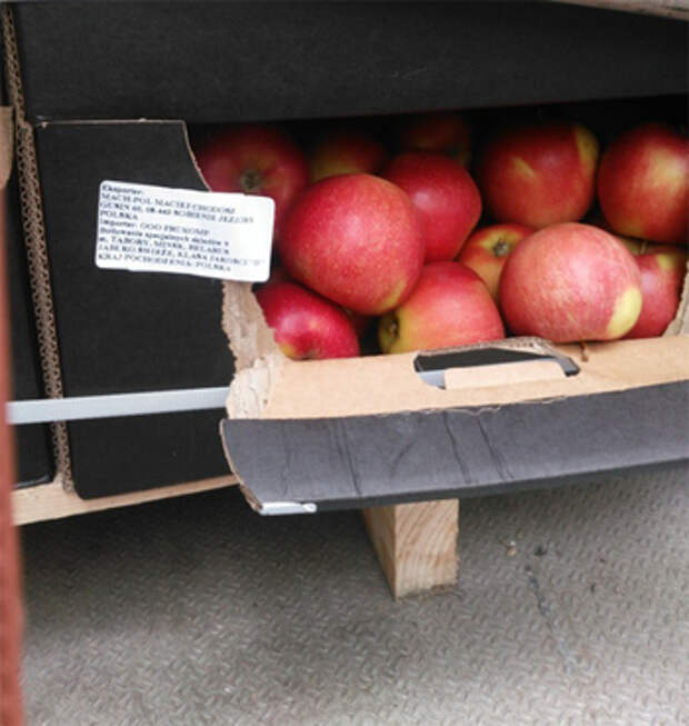 Правительство ввело запрет на ввоз яблок. Яблоки из Белоруссии. Поставка яблок. Запрещён ввоз яблок. Белорусские яблоки криминал.