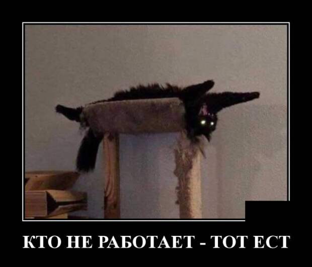 Демотиваторы (30 фото)
