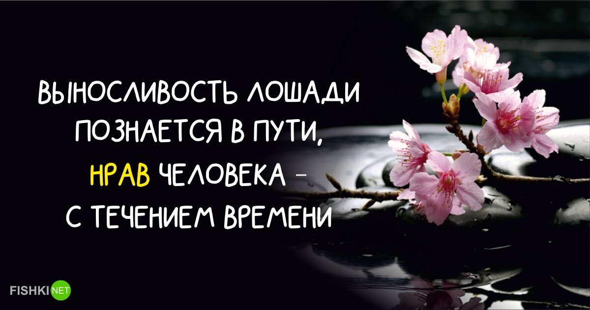 20 мудрых японских поговорок (продолжение)