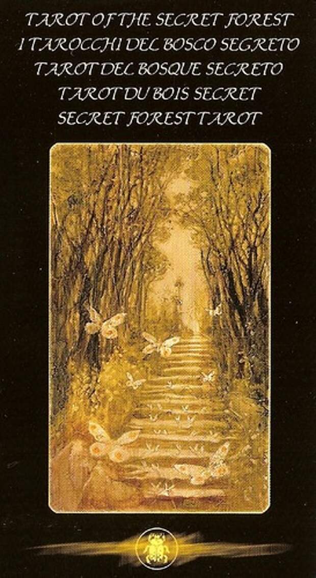 Tarot Of The Secret Forest