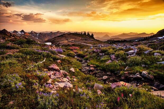 mount-rainier-national-park-01