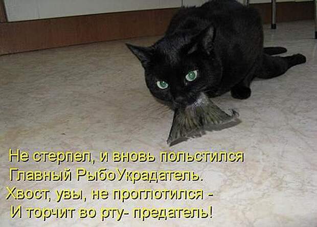 de0bbe2913e09ab8428b2e381ee_prev