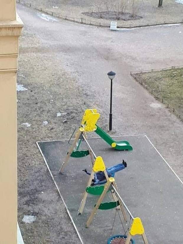 Прикольные картинки