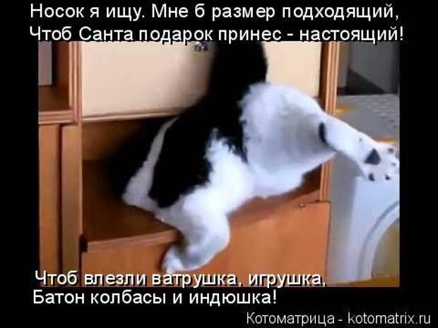 Новая котоматрица (44 шт)