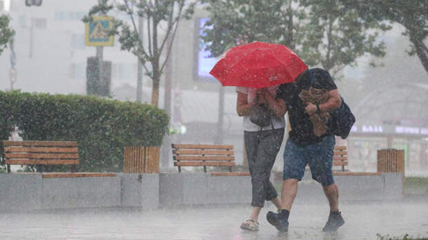 Экстренное предупреждение о погоде в Москве: в столице ввели "желтый" уровень опасности
