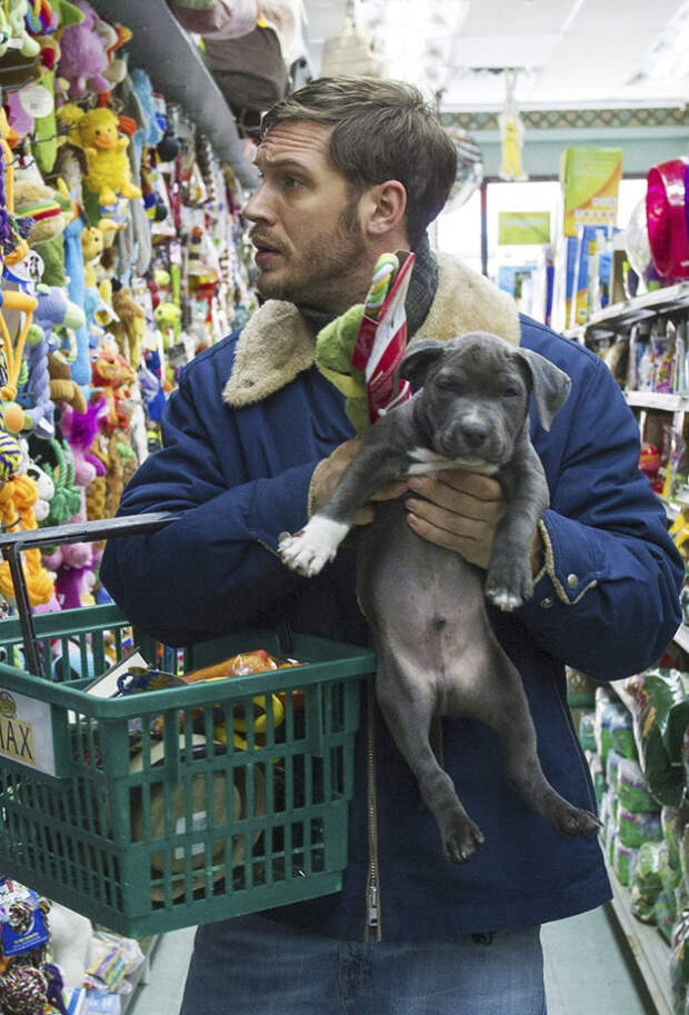 https://sobakibalabaki.com/wp-content/uploads/2017/09/love-for-dogs-tom-hardy-2-59bf68df2cf2e__700-695x1024.jpg